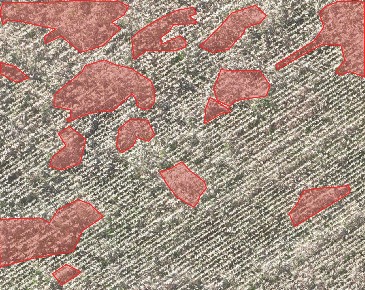 Analýza poškození